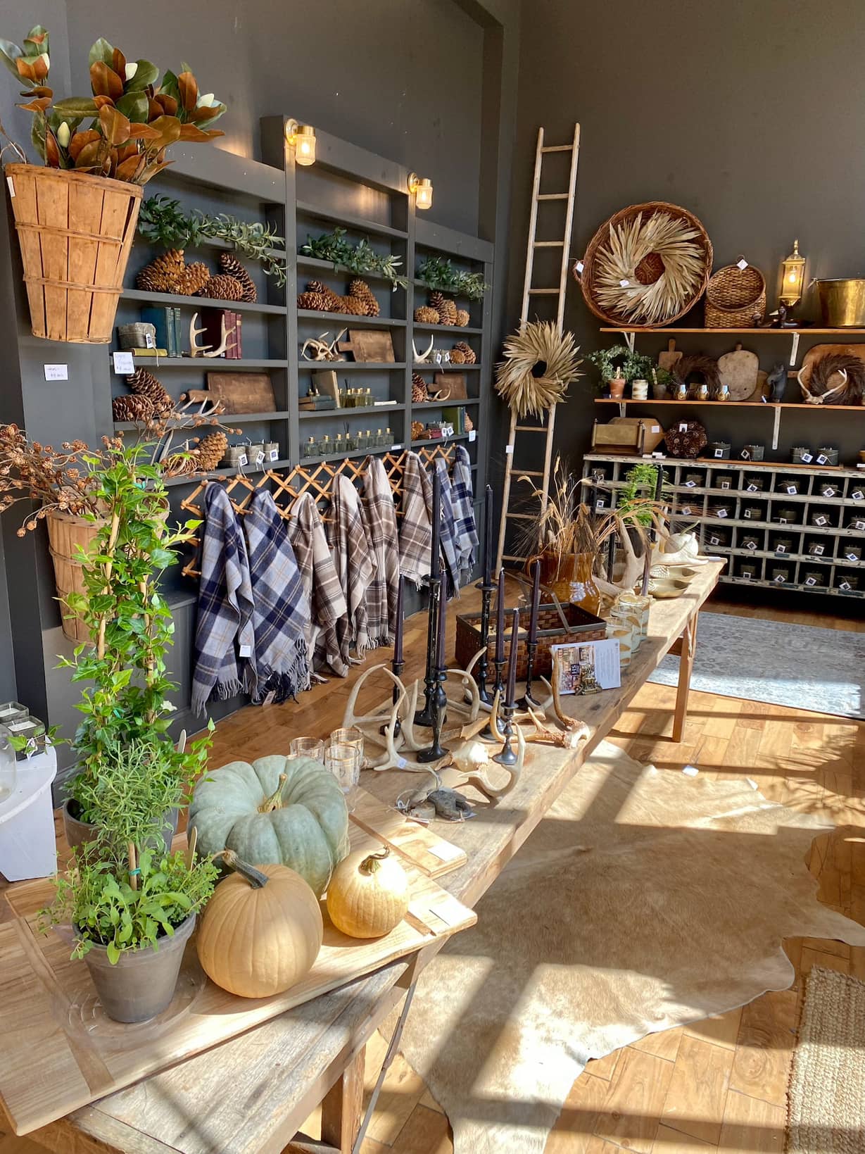 Shop a Great Collection of Fall Decorative Objects – Hoosier Sister