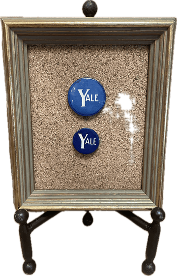 2 Vintage Yale Pins on a Frame