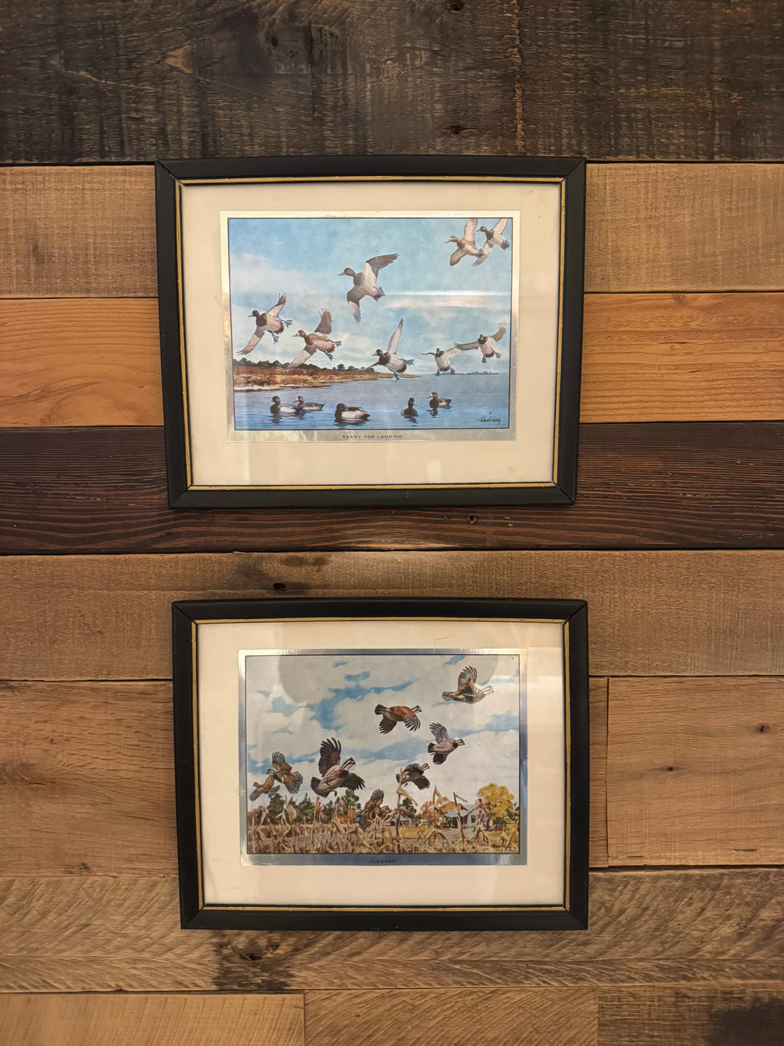 Ready for Landing Framed Print