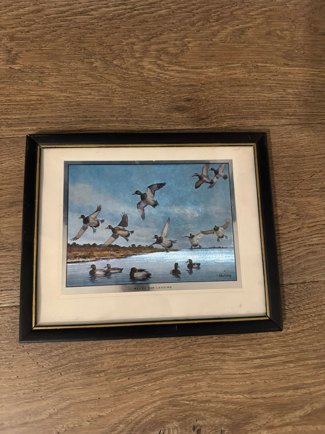 Ready for Landing Framed Print