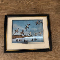 Ready for Landing Framed Print