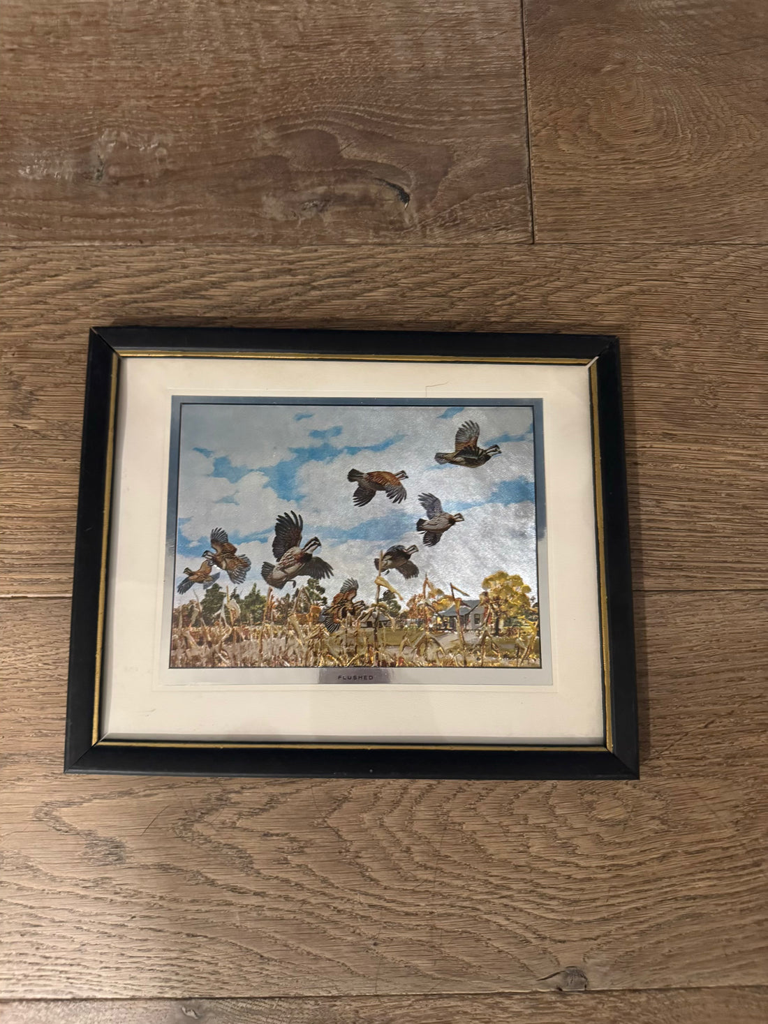 Flushed Framed Print