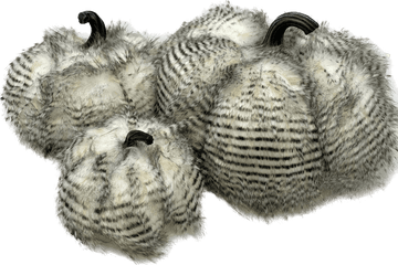 Faux Fur Pumpkin