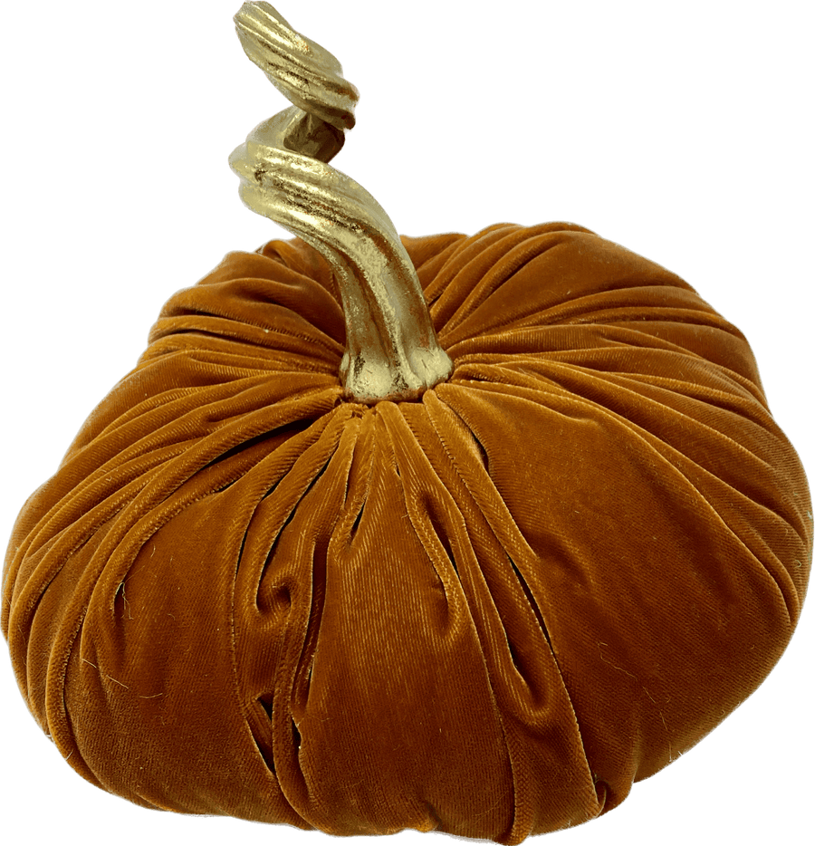 Orange Velvet Pumpkin with Gold Stem